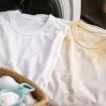 Könnyű fehérítés és miért sárgul árulóan kedvenc pólód konnyu-feherites-es-miert-sargul-aruloan-kedvenc-polod.png